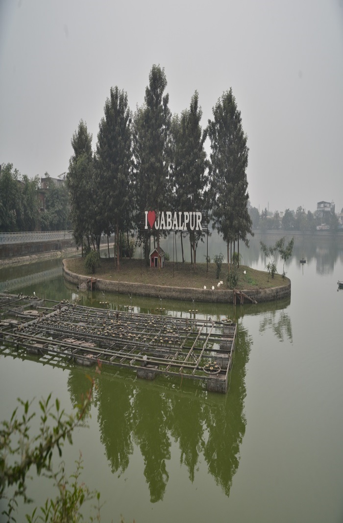 naidunia_image